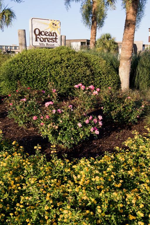Ocean Forest Villas Myrtle Beach Bagian luar foto